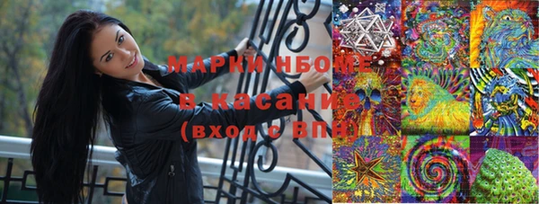 амф Нефтекумск