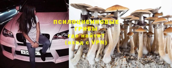 мет Абаза